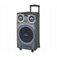 Колонка безпровідна Manta SPK5003 GHUL MP3